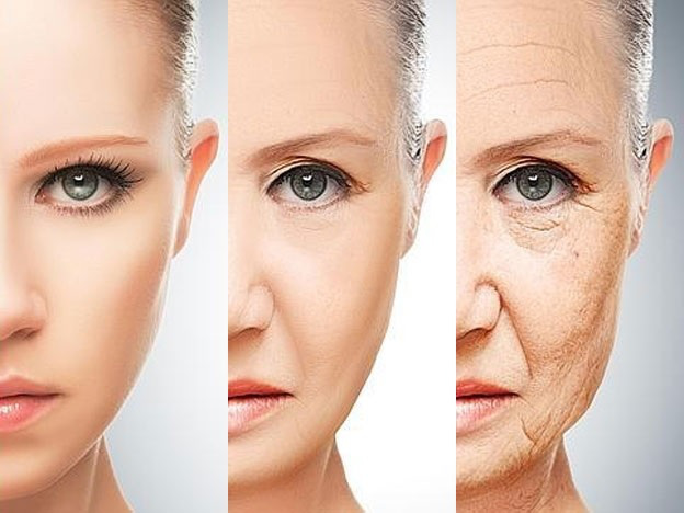 invecchiamento viso
